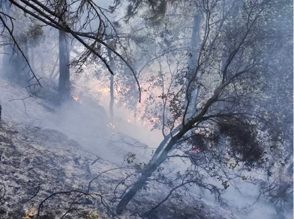 Δασική πυρκαγιά με δύο εστίες, από κεραυνούς